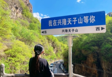 「天然氧吧」承德興隆天子山暢快1日游